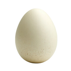 Elegant egg on pristine white surface, showcasing smooth shell, ideal for minimalist design and culinary presentations.