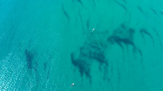 Drone aerial landscape of people on stand up paddle boards water leisure activities on Pacific Ocean South Coast Sydney Australia travel tourism sport sandbar reef