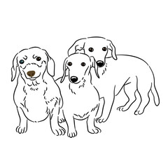 Dog bulldog line art coloring book black and white