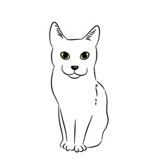 Cat line art with many pose - coloring book 