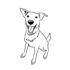 Dog bulldog line art coloring book black and white