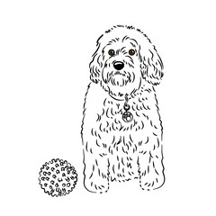 Dog bulldog line art coloring book black and white