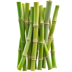 Fototapeta premium Bamboo or sugar cane isolated on a white background