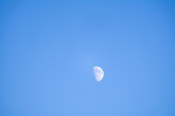 The moon phase first quarter. The half moon in blue sky in day light. United Kingdom.Scotland.