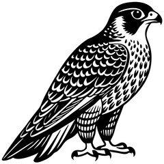 Detailed Falcon Vector - Perfect for Wildlife and Logo Designs