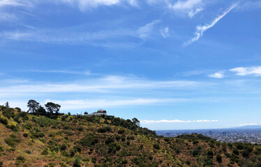 Fototapeta premium griffity hills park outdoor walks los angeles view