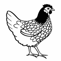 Detailed Chicken Vector Illustration - Farm Animal Design