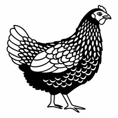 Detailed Chicken Vector Illustration - Farm Animal Design
