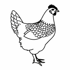 Black and White Chicken Silhouette Vector for Creative Projects