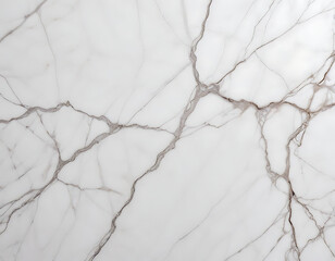 A polished white marble background with organic veins.