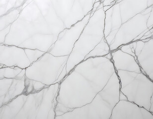 Fototapeta premium A polished white marble background with organic veins.