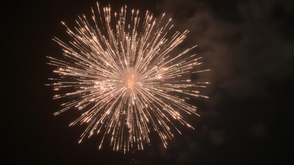 Brilliant starburst firework explosion at night, illumination, new year