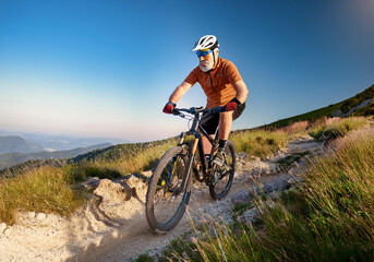Fototapeta premium Mountainbiker unterwegs in den Alpen