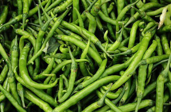 green chilly, hari mirch, hareemirach, piment vert, frutescens, prasino tsili, Desi Green Mirch (Green Chillies). or spicy grunes chilli, peperoncino verde, capsicum. Green chili peppers vegetables