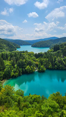 Fototapeta premium Transparent Turquoise Colored Waters of the Lake Are Having Ripples. Many Small Waterfalls Flowing Into the Lake. Plitvice Lakes, National Park, Croatian Scenery, Waterfall Views, Natural Beauty