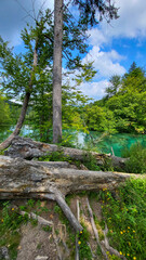 Transparent Turquoise Colored Waters of the Lake Are Having Ripples. Many Small Waterfalls Flowing Into the Lake. Plitvice Lakes, National Park, Croatian Scenery, Waterfall Views, Natural Beauty