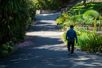 old couple walking with a little dog on a path in a park by the forest. elderly couple in love in australia in spring. cement path