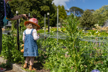 open community garden growing flowers and vegetables with families and children exploring nature in australia