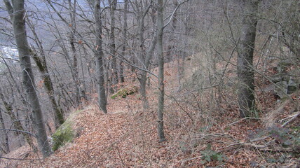 Romania, resort, mountains, Carpathians, recreation, tourism, slopes, rivers, rocks, waterfalls, mineral water sources, spring, ski slope, sculptures, temple, church, architecture, pine trees on the s