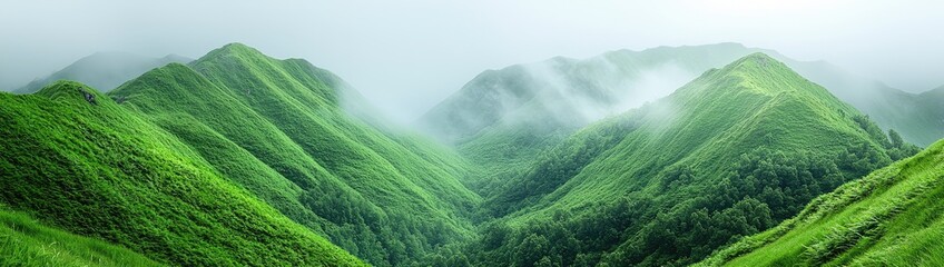 Highland Fog: Mystical Scottish Landscape in Misty Majesty