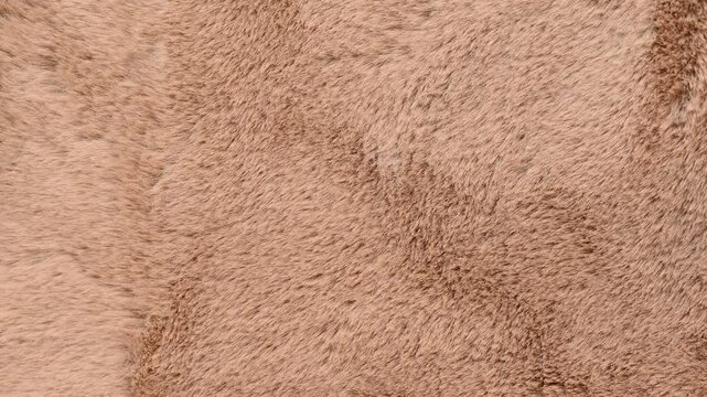 beige rabbit fur background