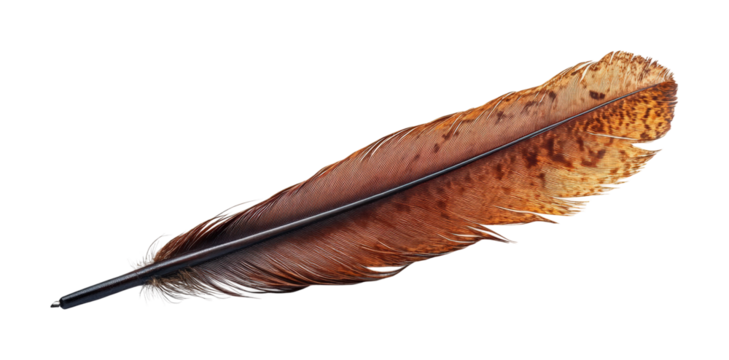 Floating quill pen on high fidelity minimalist design artistic concept isolated on transparent background png