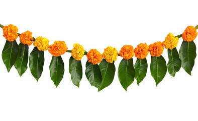 Indian flower garland of mango leaves and marigold flowers. Ugadi diwali ganesha festival poojas weddings functions holiday ornate decoration. Isolated on white background natural mango leaf garland