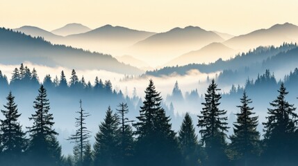 Fototapeta premium Misty mountain landscape with pine trees layered hills