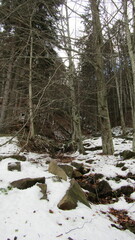 Romania, resort, mountains, Carpathians, recreation, tourism, slopes, rivers, rocks, waterfalls, mineral water sources, spring, ski slope, sculptures, temple, church, architecture, pine trees on the s