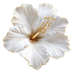 Elegant white hibiscus flower decoration studio display floral art minimalist environment close-up view aesthetic design