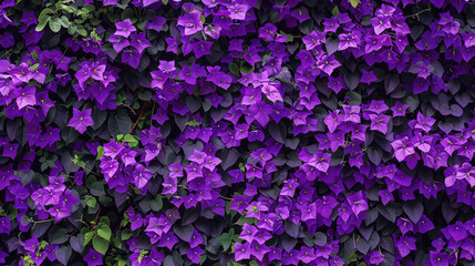 purple violet floral pattern wallpaper