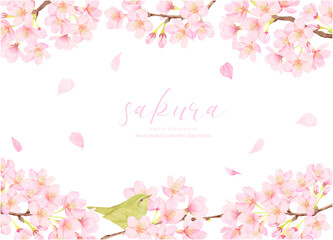 鶯と桜の花のかわいいイラスト素材