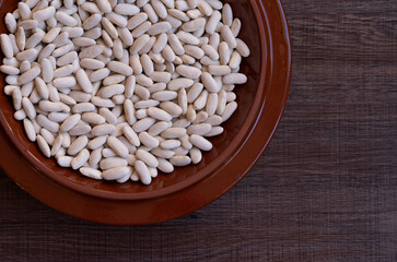 Large white beans called fabes de la granja, ingredients of the Asturian fabada, resting in a clay plate