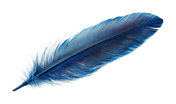 Floating quill pen on artistic showcase clean environment high fidelity minimalist design isolated on transparent background png