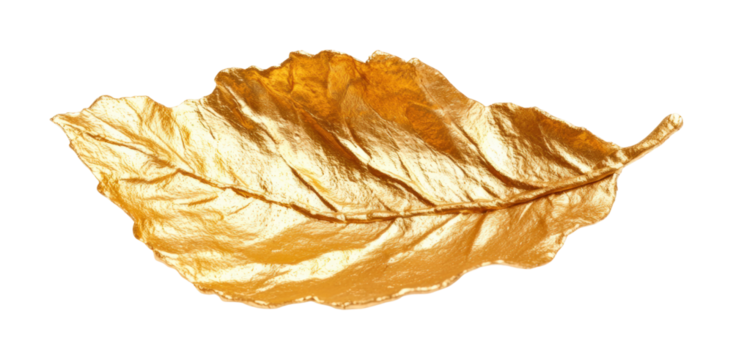 Golden leaf with plasticine texture nature scene high fidelity close-up artistic environment perspective isolated on transparent background png