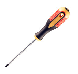 Torx screwdriver