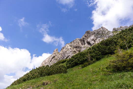 
Steep hillside with rocky surface covered with grass and bushes, blue sky with white clouds in the background.