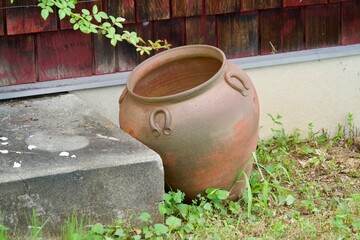 Obraz premium Potted plant pods placed haphazardly