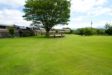 Scenery of beautiful lawn area