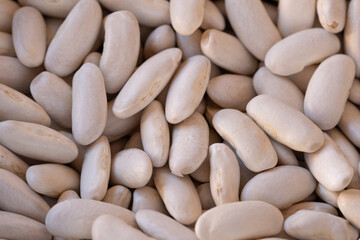 Large white beans forming a beautiful texture, ideal for preparing Asturian fabada