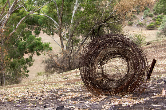 Rolled wire on burnt ground after a bushfire