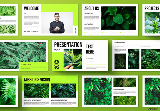 Plant Presentation Template