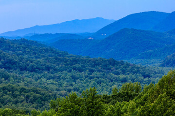 Obraz premium The mountains are covered in lush green trees and the sky is a deep blue