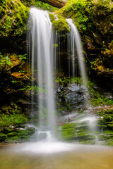 Fototapeta premium A waterfall is shown in a lush green forest