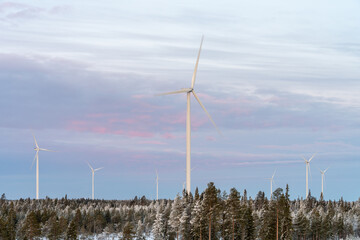 A large wind farm in Northern Finland on a freezing cold winter morning