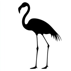 Fototapeta premium Flamingo Silhouette: Elegant Black and White Bird Vector Graphic. Perfect for nature lovers, minimalist art enthusiasts, and design projects. Download this stylish avian illustration now!