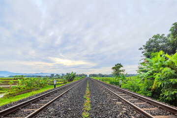 Railway Tracks Across Green Rice Fields on a Sunny Morning. Two-Way Railway Across Vibrant Fields...