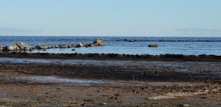 Baltic sea coast near Seby on southeastern Oland, Sweden.