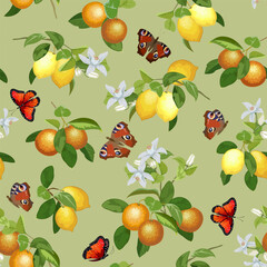 Pattern with oranges and lemons.Oranges, lemons and butterflies on a colored background in a vector pattern.