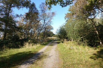Fototapeta premium Dirt road in Ottenbylund, nature reserve on southern Oland island, Sweden.